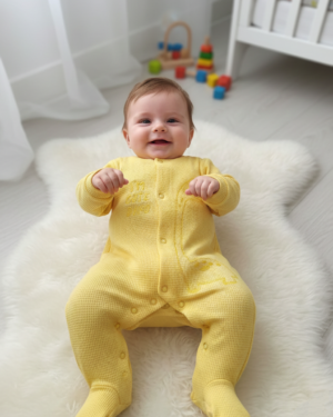 import placeholder for 2538